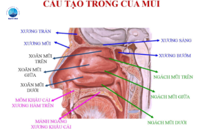 các bệnh về mũi ở trẻ