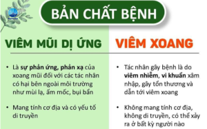 phan biet viem xoang viem mui di ung