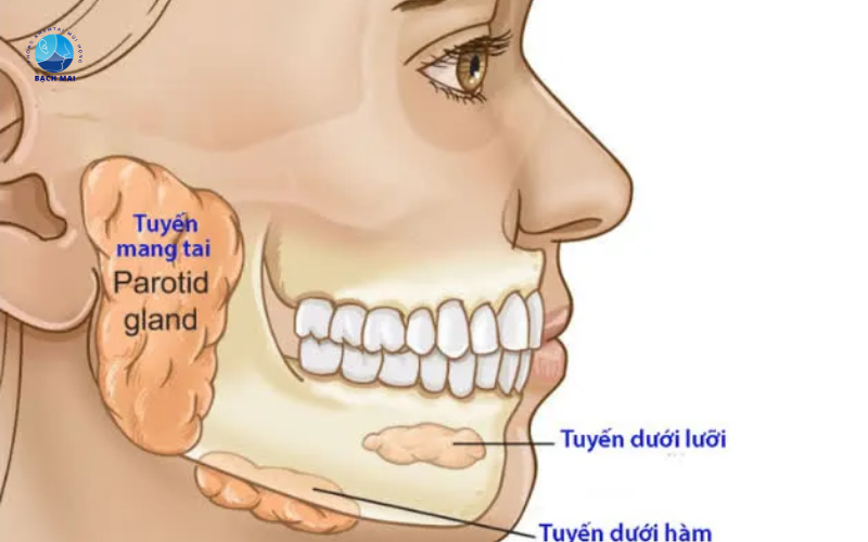 viêm tuyến nước bọt mang tai có nguy hiểm không