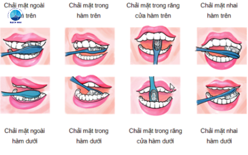 Cách trị hôi miệng tận gốc 