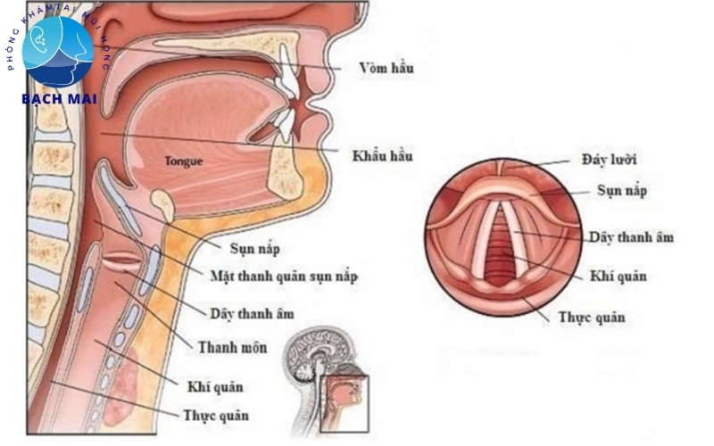 Mổ u nang thanh quản kiêng nói bao lâu