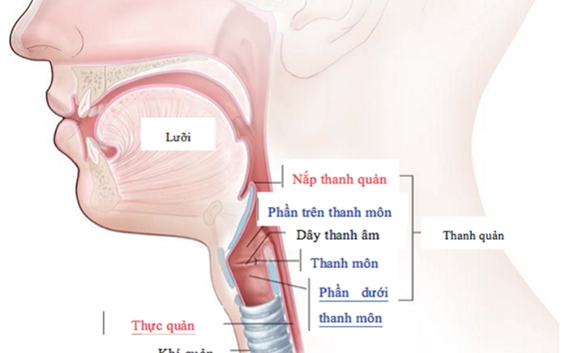 Mổ u nang thanh quản kiêng nói bao lâu