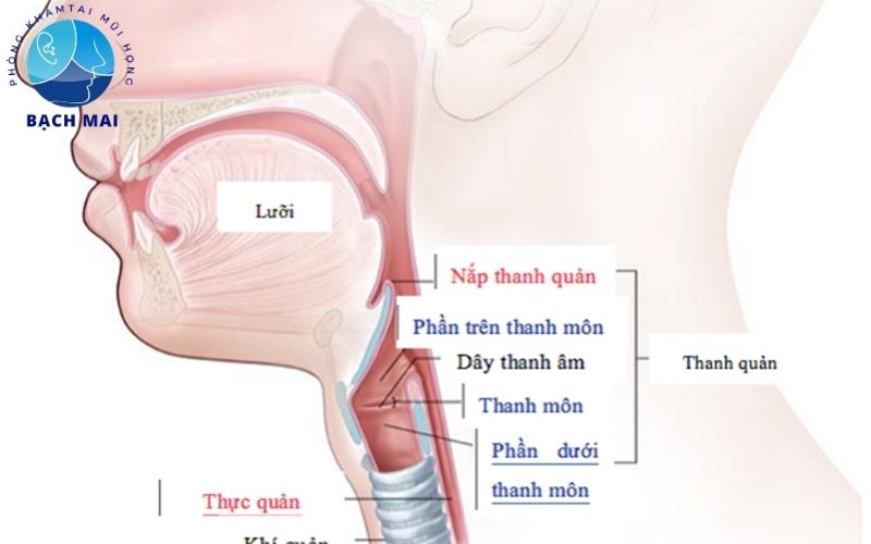 U nang dây thanh quản có nguy hiểm không