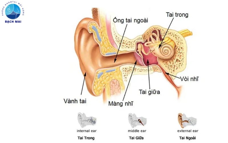 dau nhoi trong tai trai la dau hieu cua benh gi 3